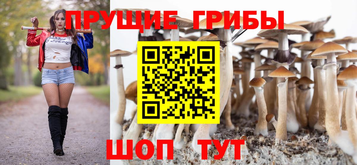 Барнаул  Псилоцибиновые грибы Cubensis  Вход с VPN 